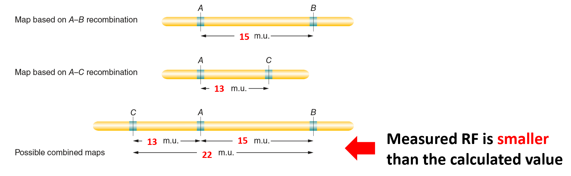 image-20260107174250285