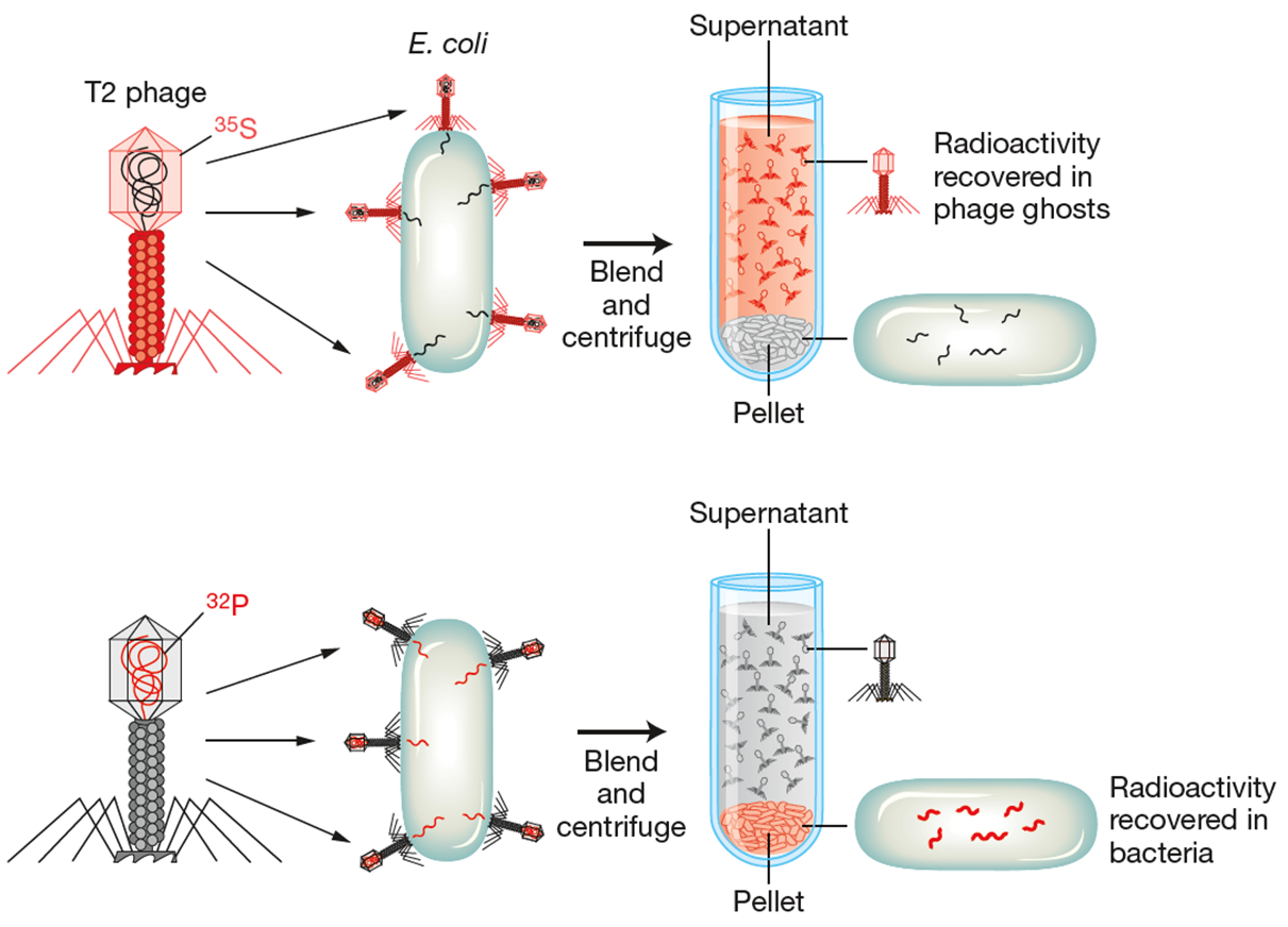 image-20260108172700658