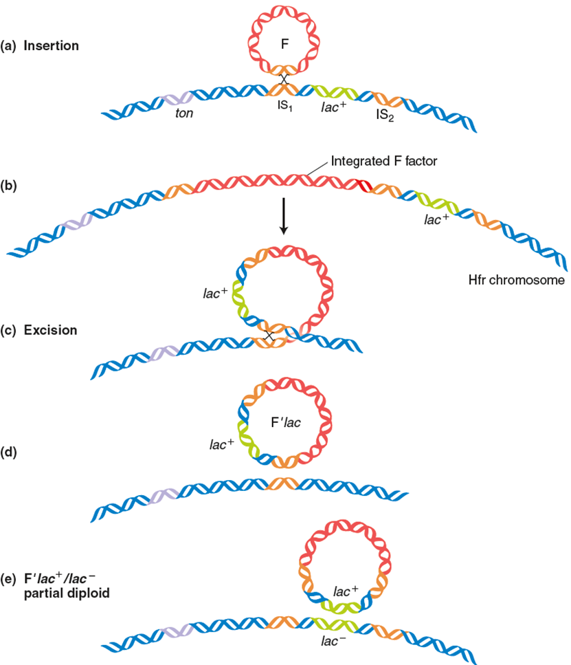 image-20260108213656928