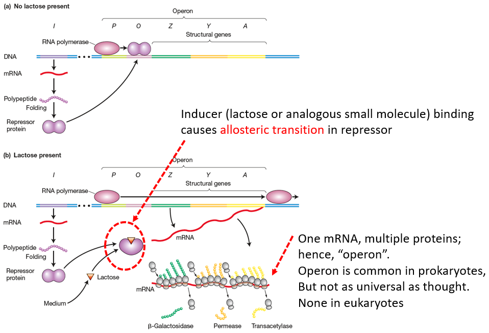 image-20260108214703035