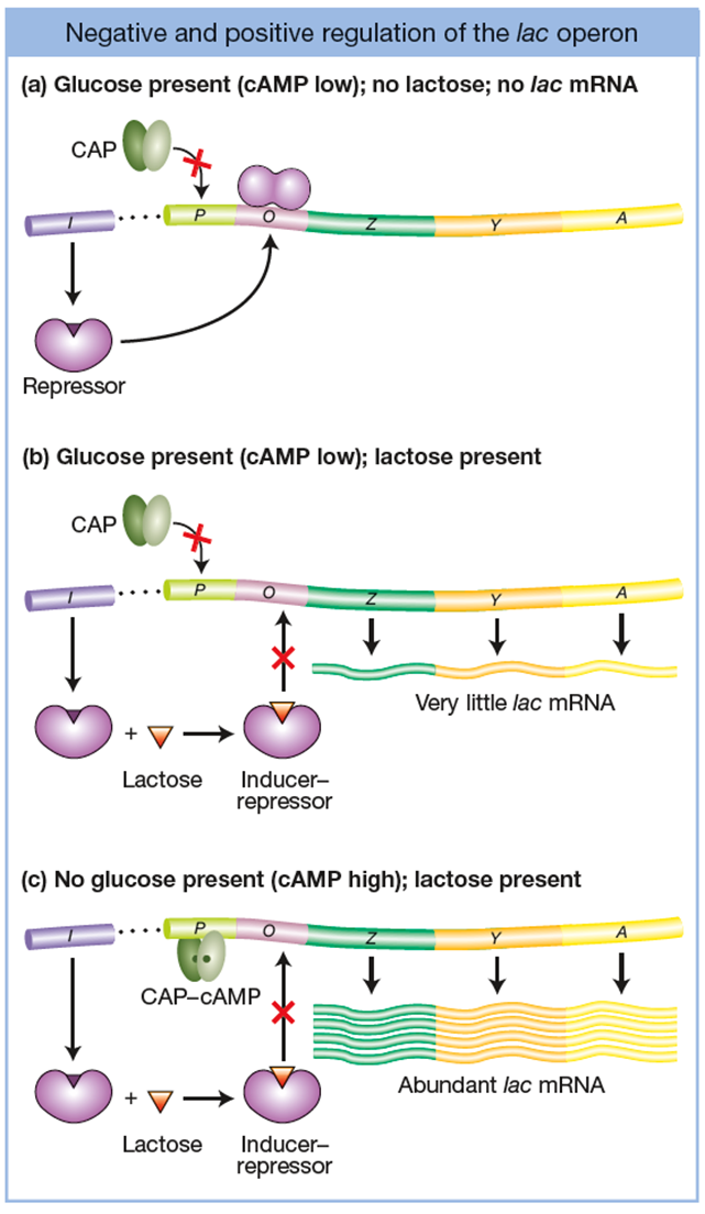 image-20260108223259552