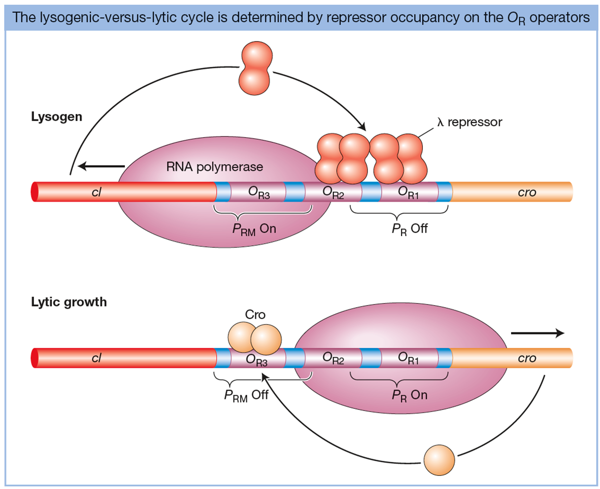 image-20260108224452716