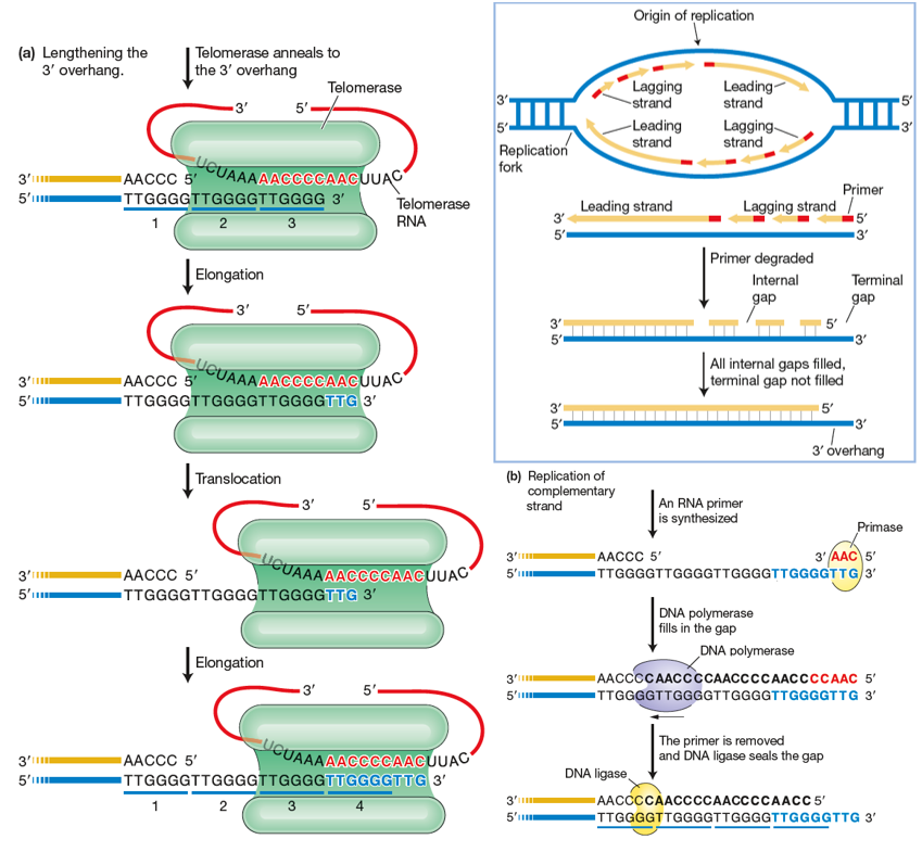 image-20260109110553085