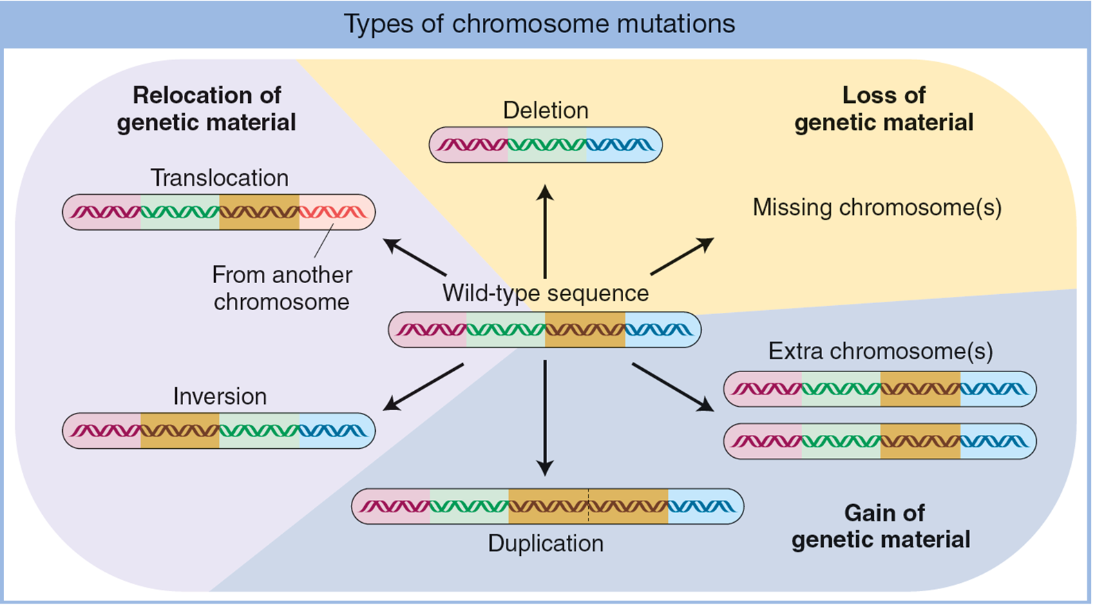 image-20260109111738545