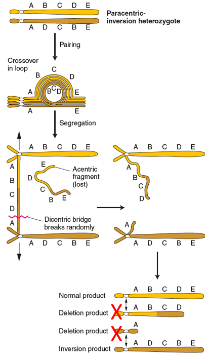 image-20260109114557099