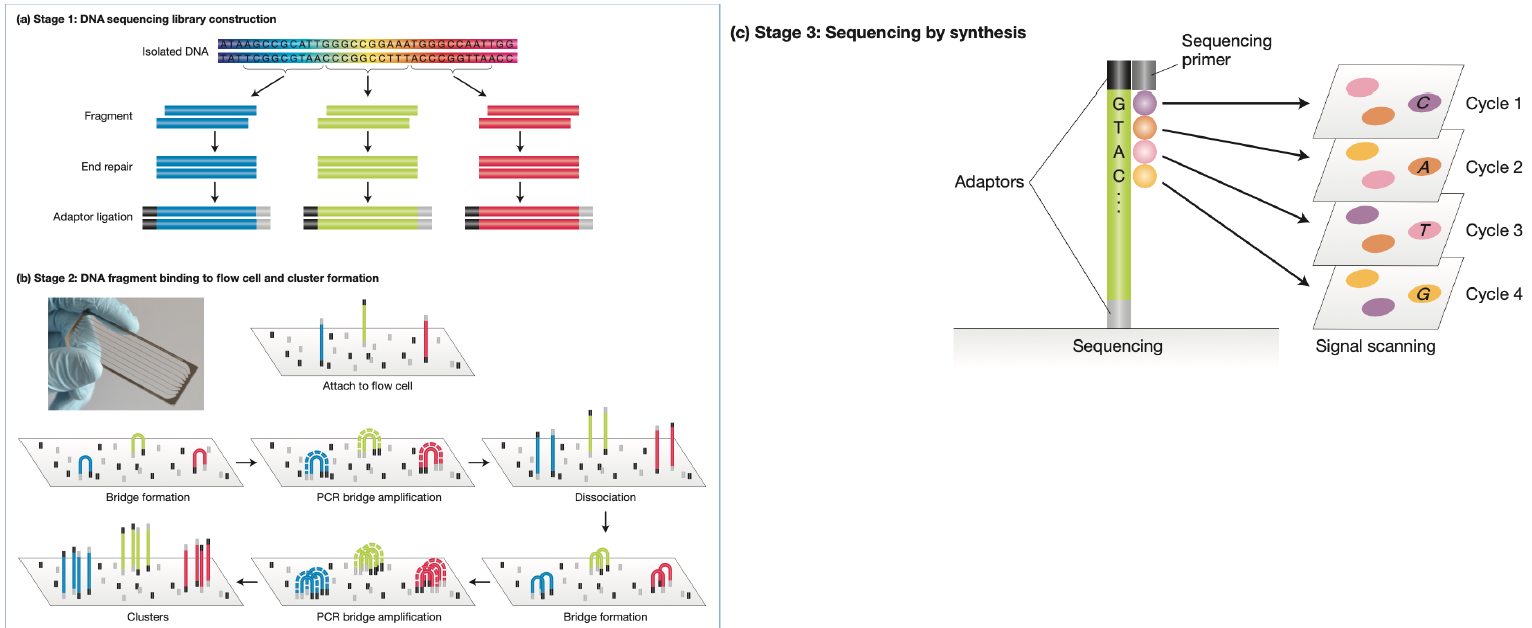 image-20260109120341882