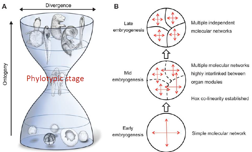 image-20260109153639389