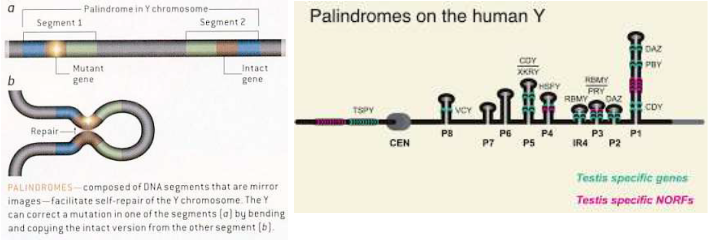 image-20260109171156774