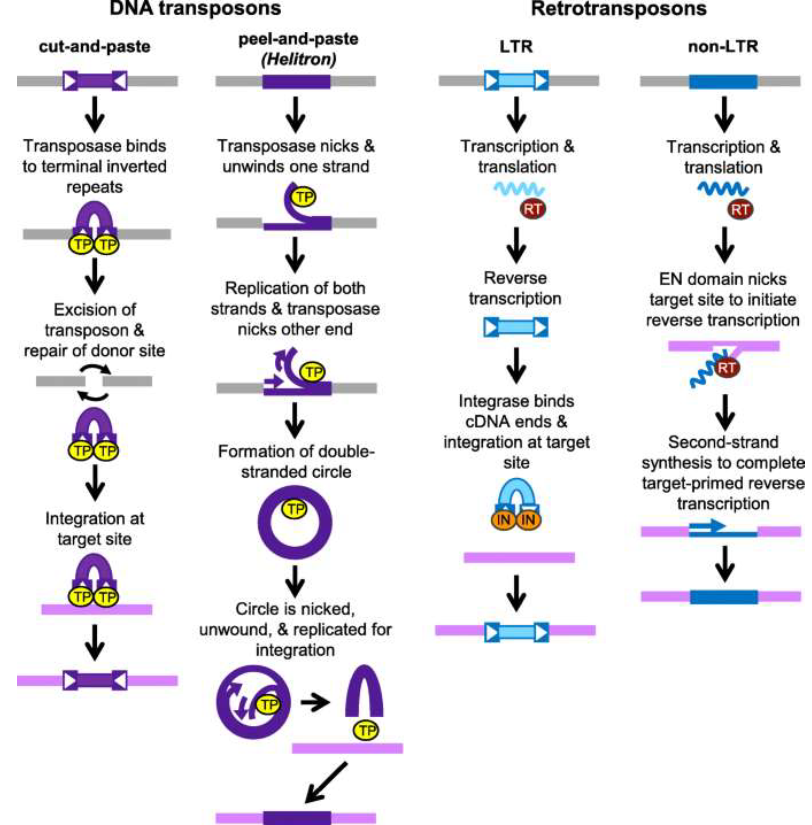 image-20260109174957629