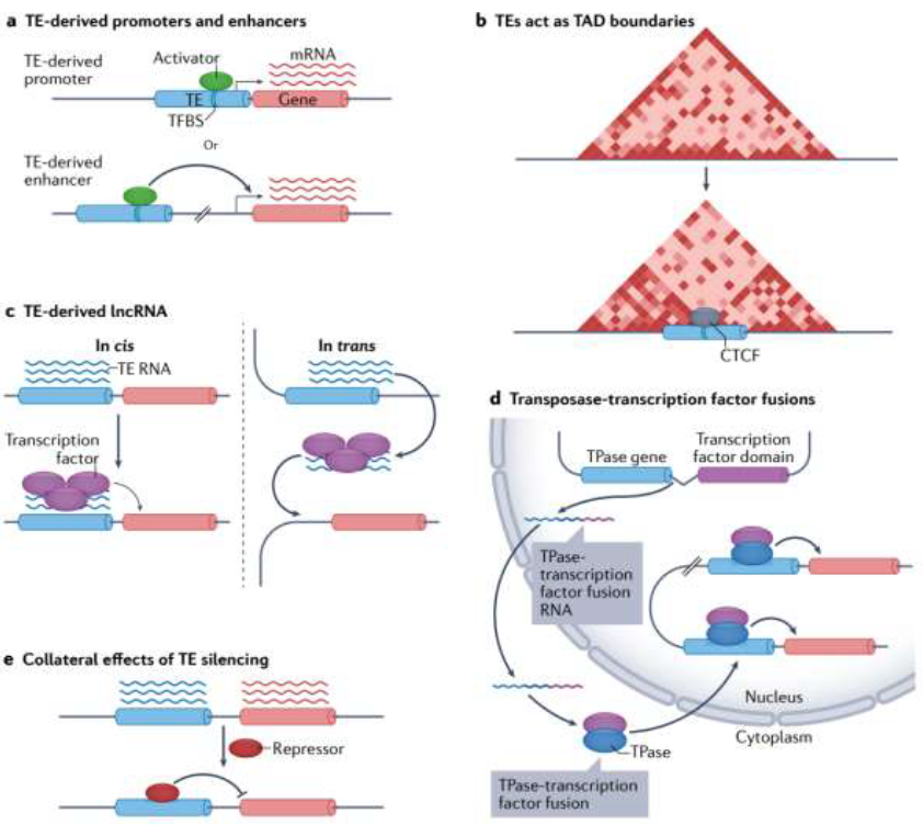 image-20260109183145487