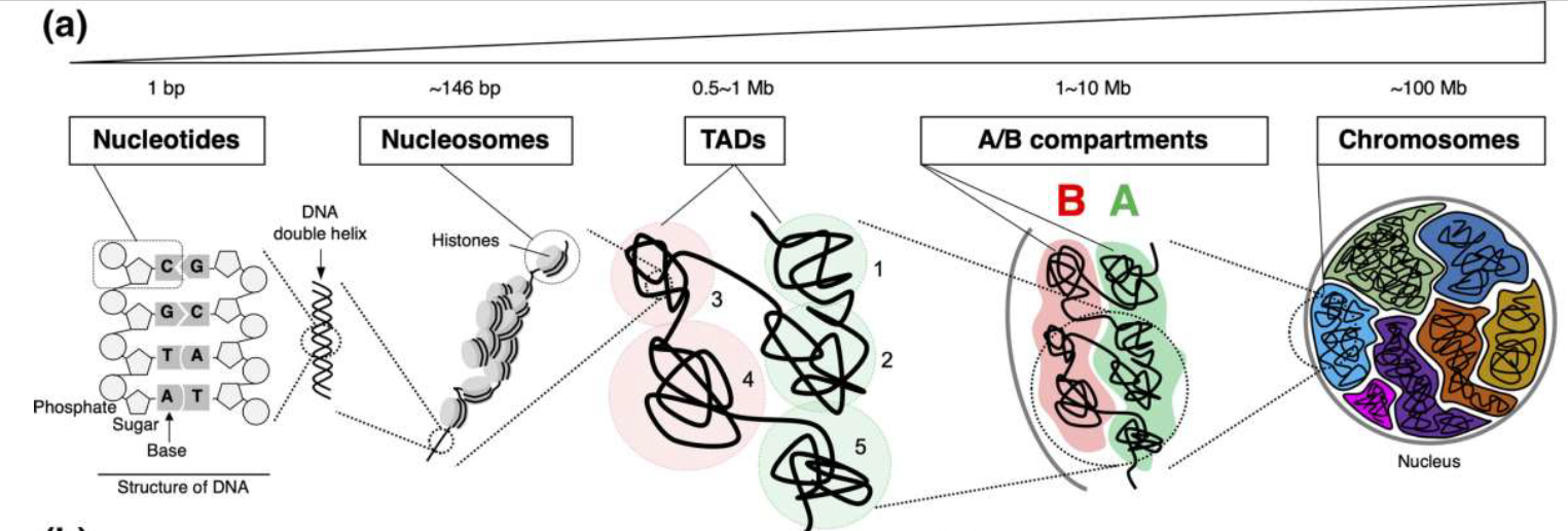 image-20260109204554455