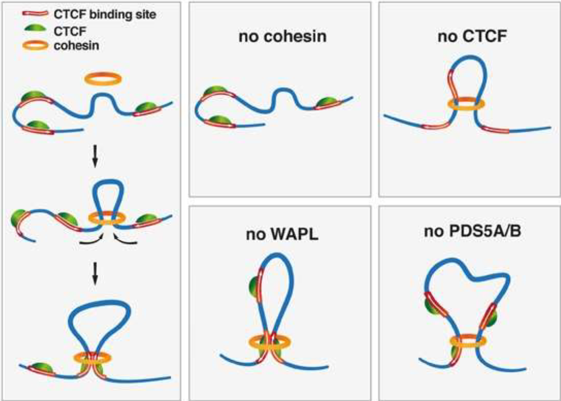 image-20260109205128423