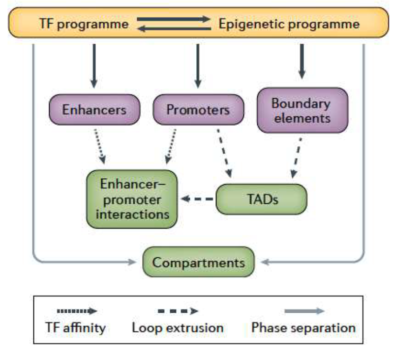 image-20260109210727218