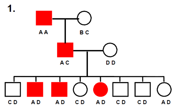 image-20260109231724448