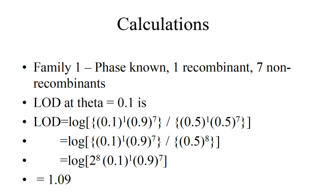 image-20260109231738293