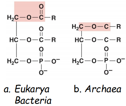 image-20250224102242208