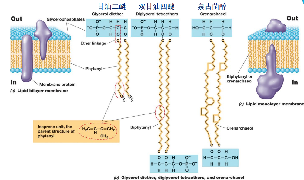 image-20250224102315098