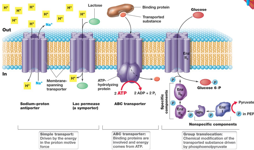 image-20250224103241551