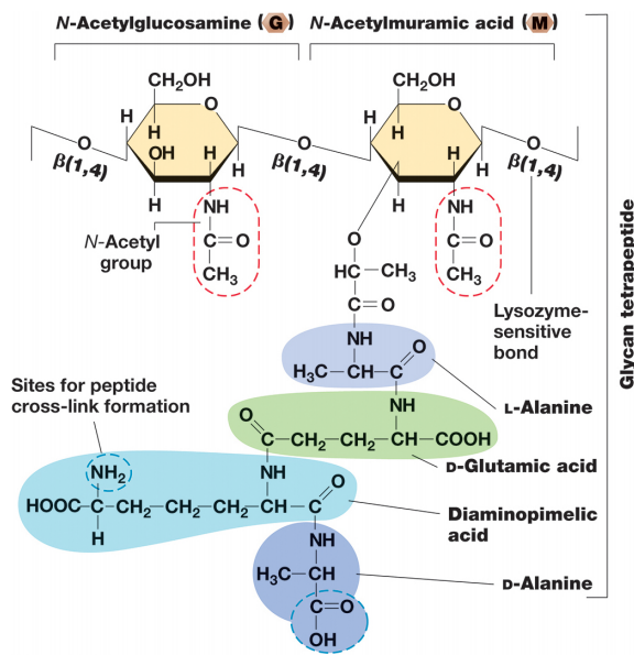 image-20250224104121127