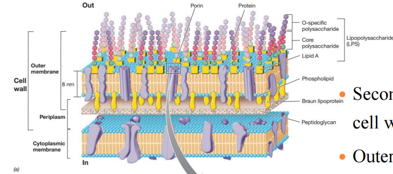 image-20250224111924437