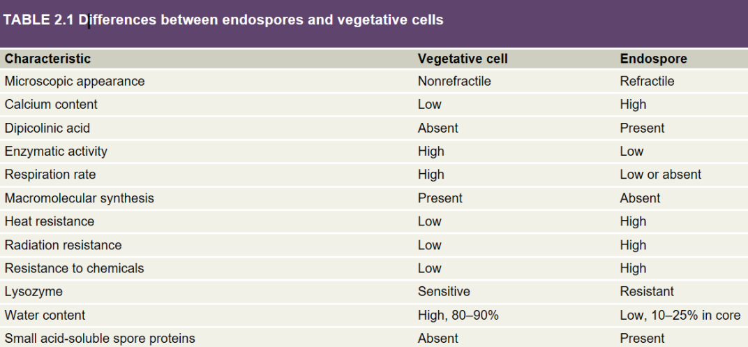 image-20250224120526593