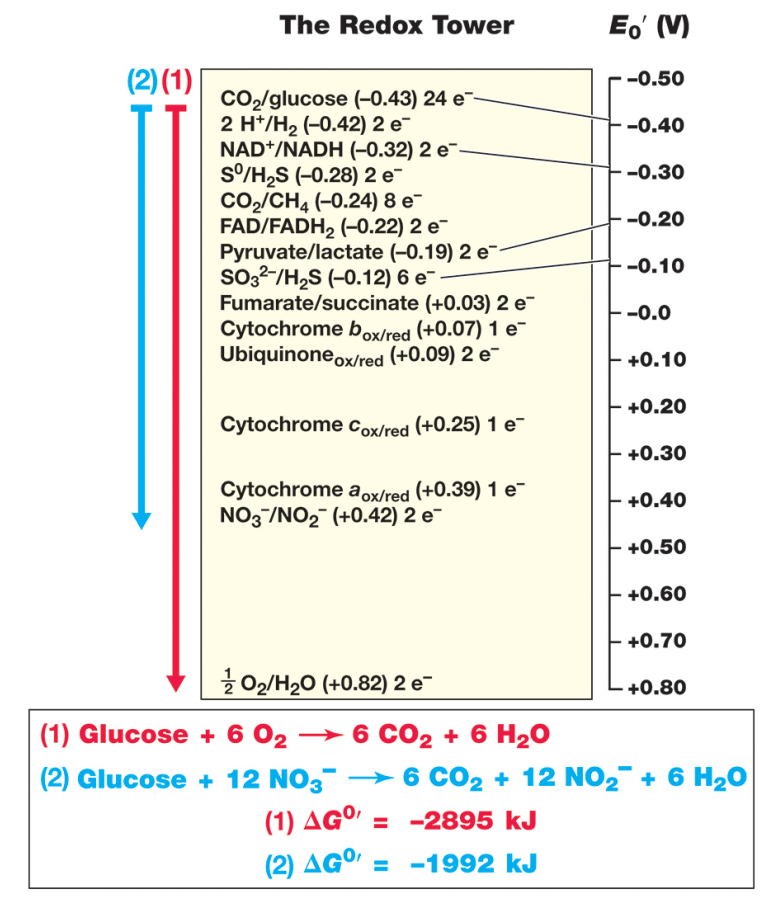 image-20250310104645250