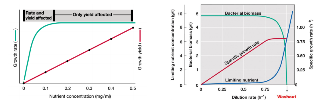 image-20250317112358491