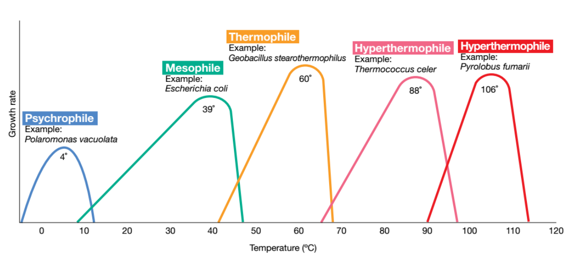 image-20250317114815012
