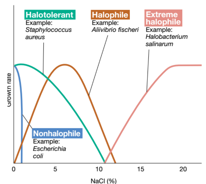 image-20250317121155970