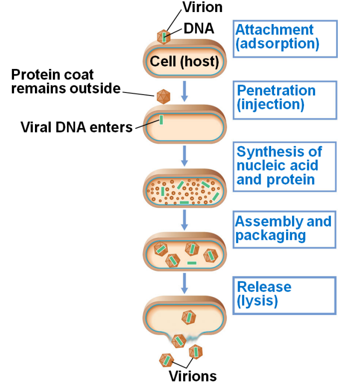 image-20250324110039716