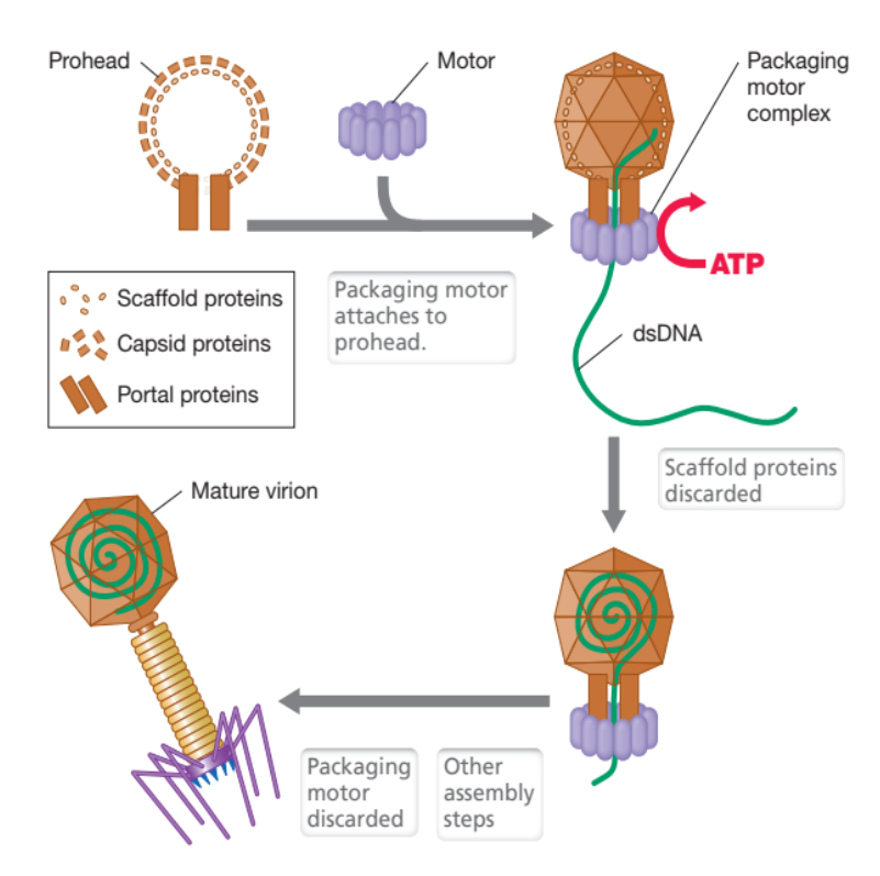 image-20250324112223126