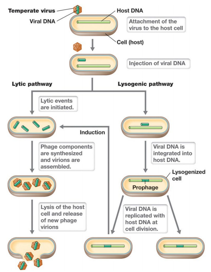 image-20250324112735952
