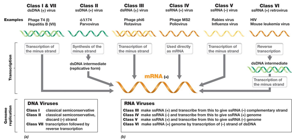 image-20250324115517175