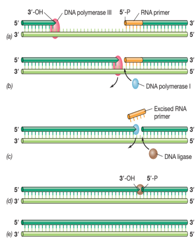 image-20250331111641609