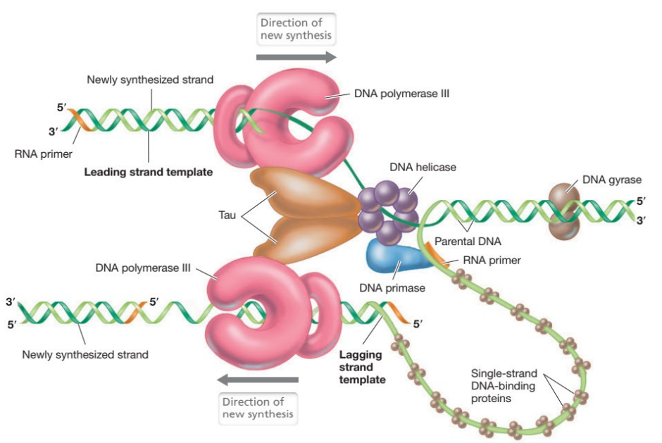 image-20250331111959205