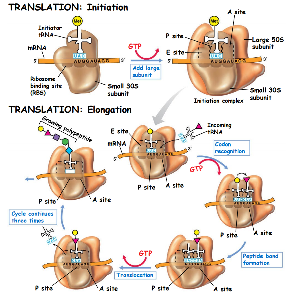 image-20250331121214175