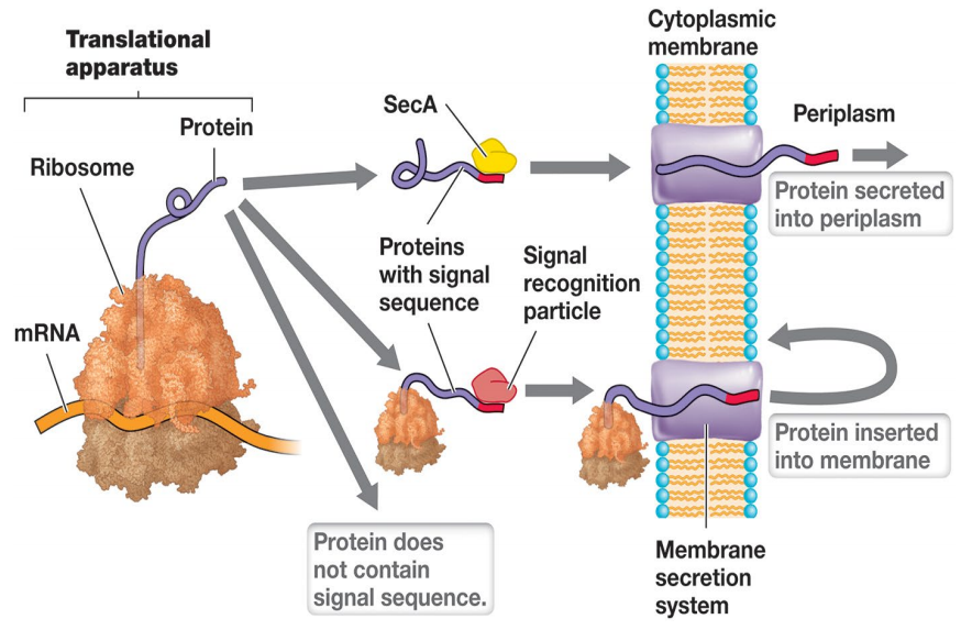 image-20250331122115523