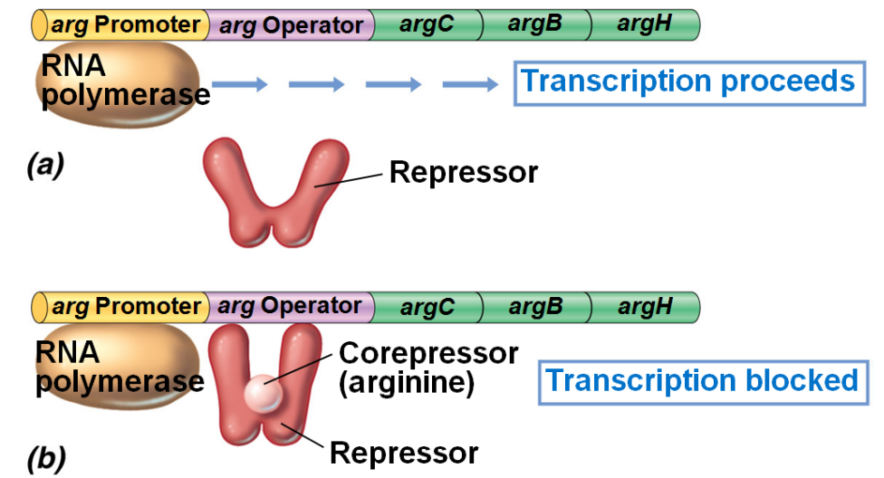 image-20250407102103953