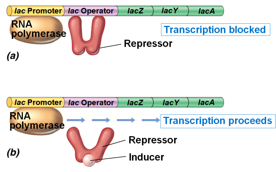 image-20250407102844175