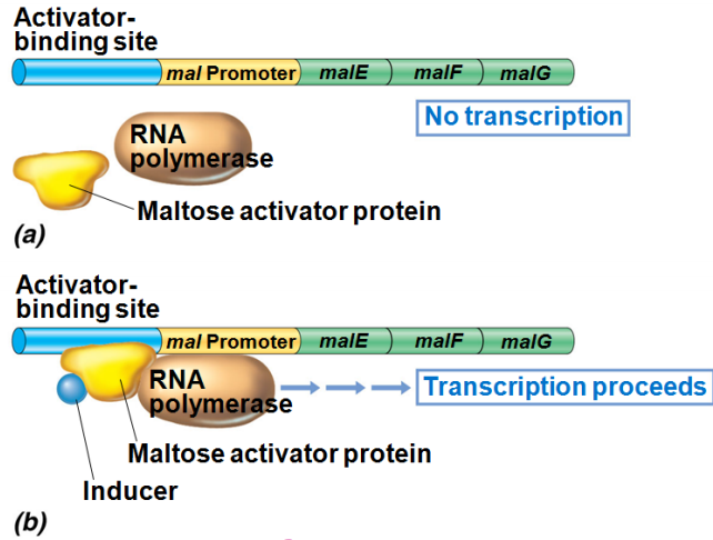 image-20250407103318650