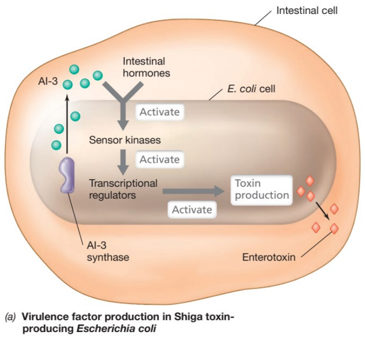 image-20250407112649560