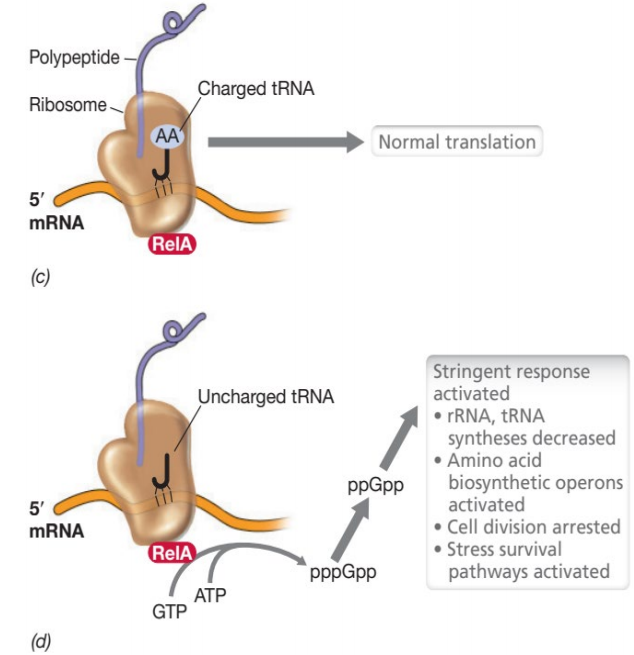 image-20250407114344612