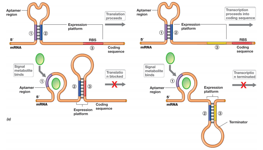 image-20250407121445808