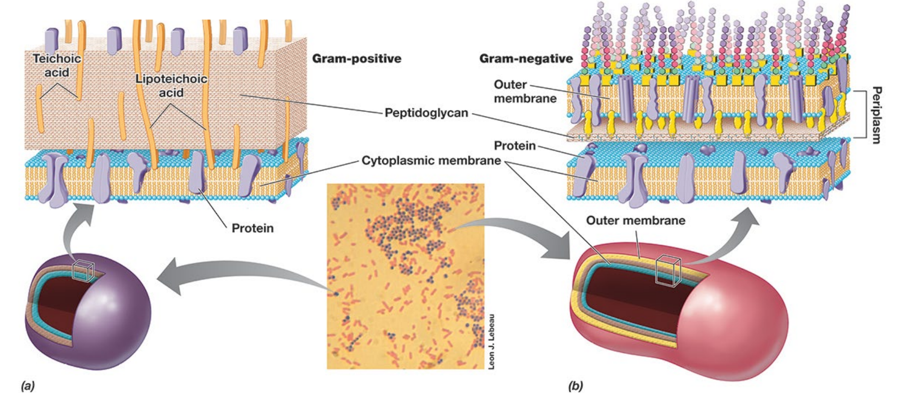 image-20250410204521987