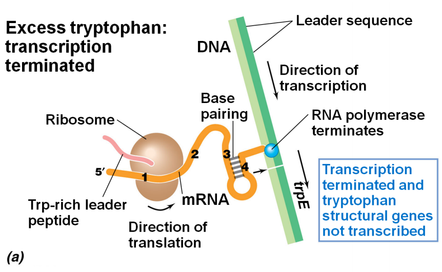 image-20250413202946443