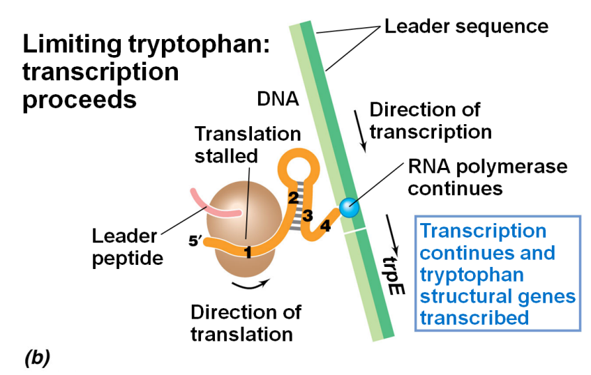 image-20250413203009146