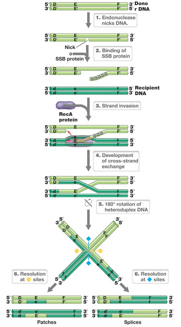 image-20250427110433310