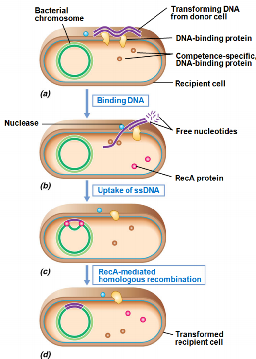 image-20250427111316549