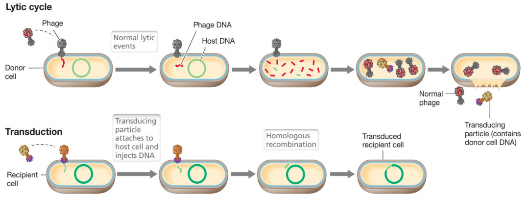 image-20250427111644903