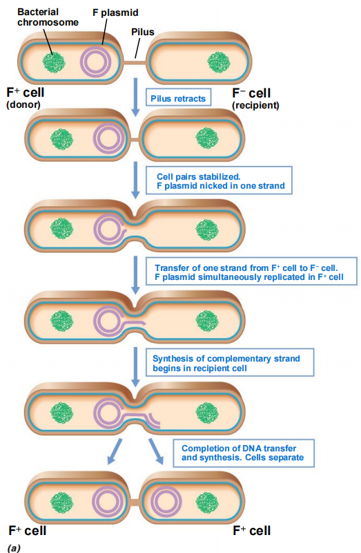 image-20250427112811066